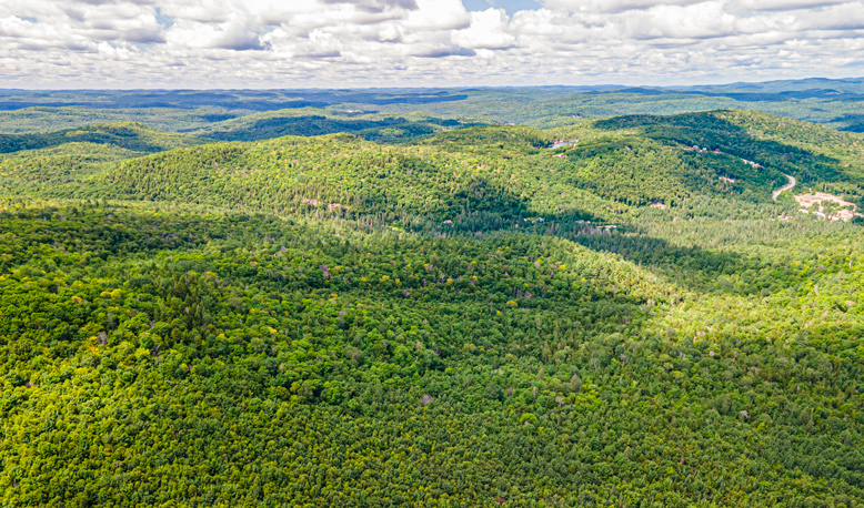 Domaine des cépages