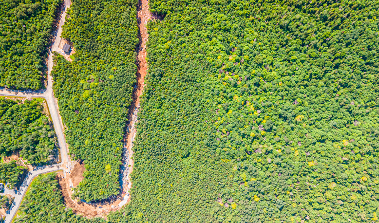 Domaine forêt ouareau