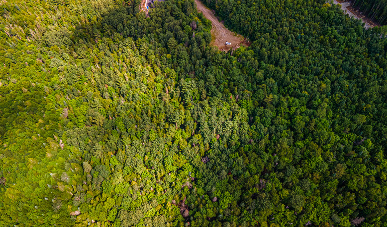 Domaine sommets des montagnes